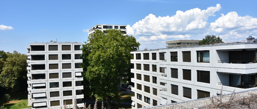 Magnolienpark dans le quartier attrayant de Gellert à Bâle, 7 fenêtres pour toit plat