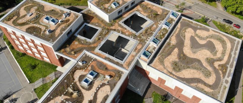 Le nouveau bâtiment du complexe scolaire Schauenberg à Zürich avec 9 fenêtres pour toit plat