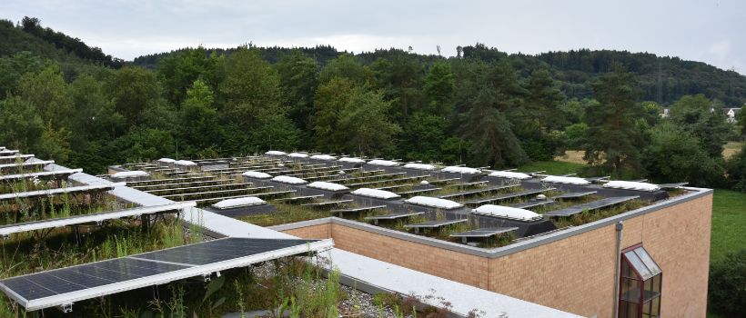 103 Lichtkuppeln, opal, 3-schalig, Schulhaus Engerfeld, Rheinfelden