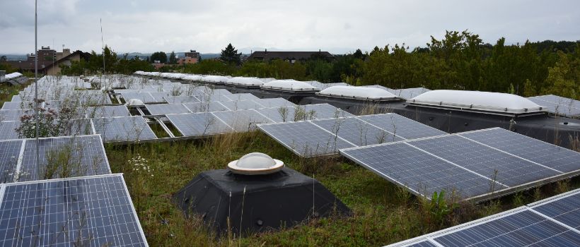 Kleine, runde Lichtkuppel, sowie rechteckige Lichtkuppelreihe inmitten einer Solaranlage