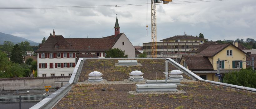 Drei runde Lichtkuppeln mit Öffnungsvorrichtung und einer Dunkelklappe<br/>