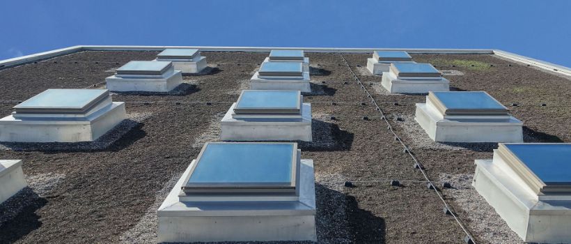 33 Flachdachfenster mit Öffner & Beschattungsmarkisen, Schulhaus Zinzikon