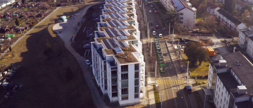 12 Oberlichter FDGOL an der Burgfelderstrasse Basel