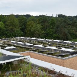 Lichtkuppeln, Schulhaus Engerfeld, Rheinfelden 